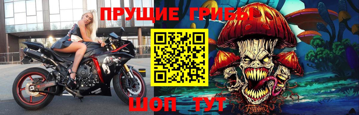 Псилоцибиновые грибы Psilocybine cubensis  Вход с VPN  Чернушка 