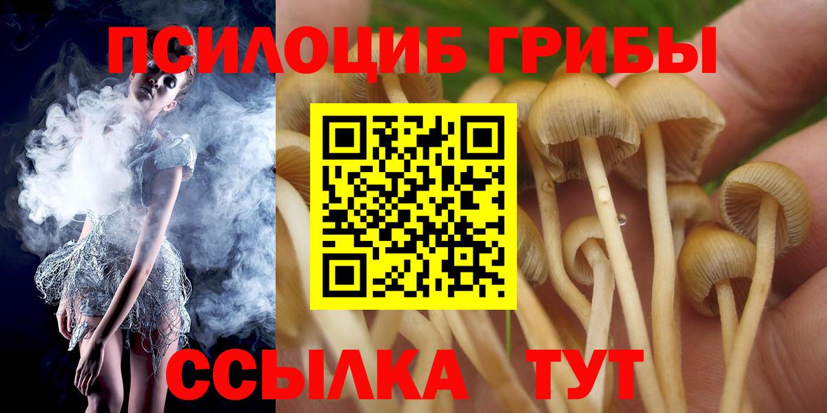 Псилоцибиновые грибы GOLDEN TEACHER Чернушка